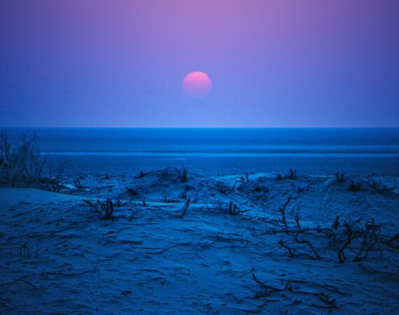 太陽能應用:為什麼它是未來的能源之選 (Solar 4 photo 1602149564911 ea160c1c1743
