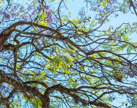 photo 1680458842611 48c77038578b