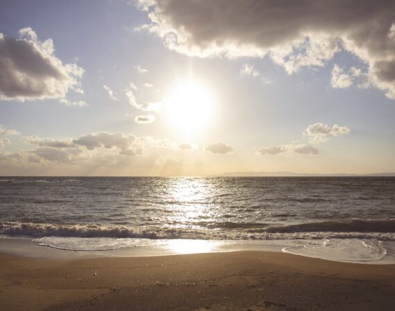 photo 1414269665217 a57681e266b3