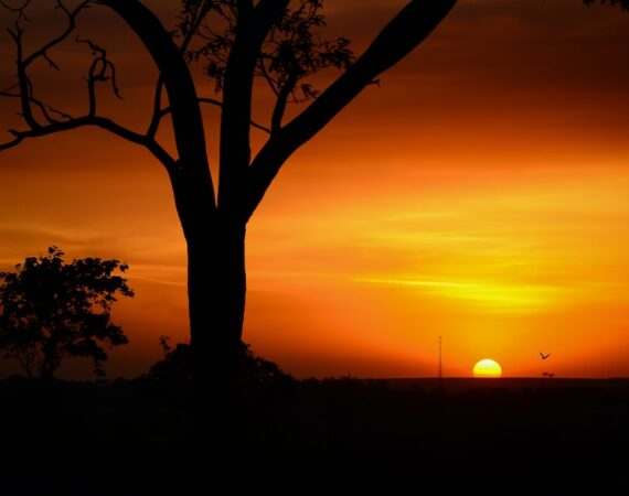 photo 1437773540554 96d393b4d0c9