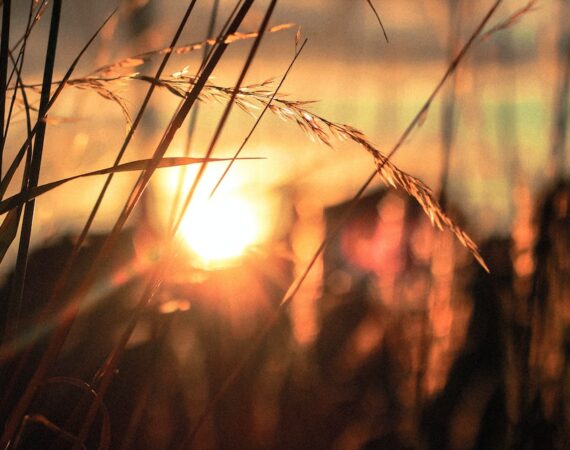 太陽能發電技術:綠色能源的明日之星 4 photo 1443632826930 7e5bc4aa7fa0