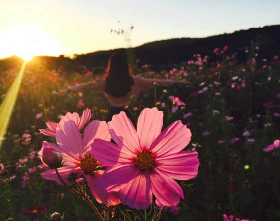 photo 1445090909078 0217954421ec