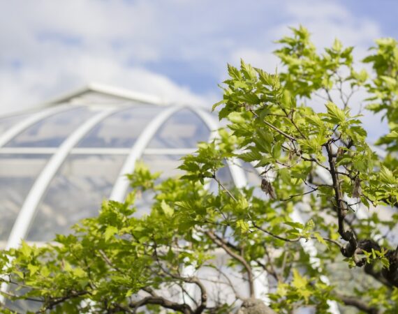 photo 1459611024461 53222f8fa41f