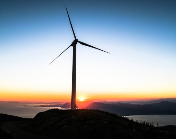 photo 1474183725112 79b6800d89a0