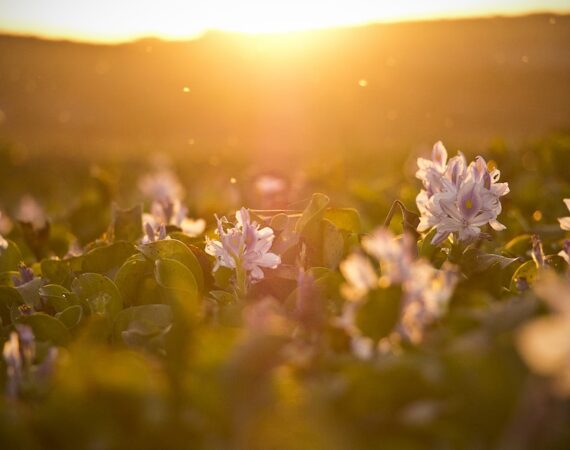 photo 1485395578879 6ba080c9cdba