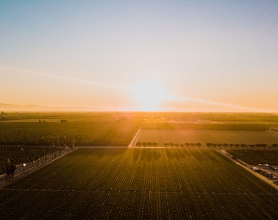 photo 1505710043585 144563471bda