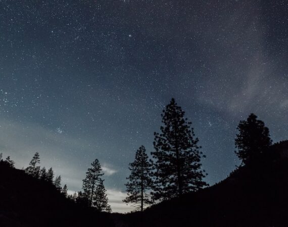 photo 1512454409454 eb3ab0cf3959