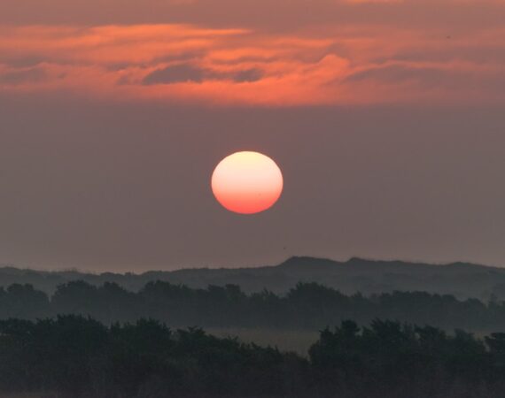 photo 1517359795165 71871b9e3266