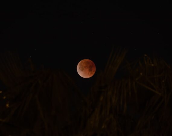 photo 1517547296765 95df07184957