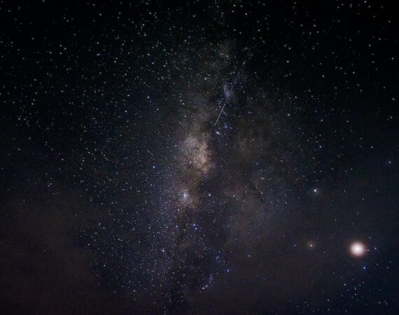 photo 1520257328559 2062fc7de0b3