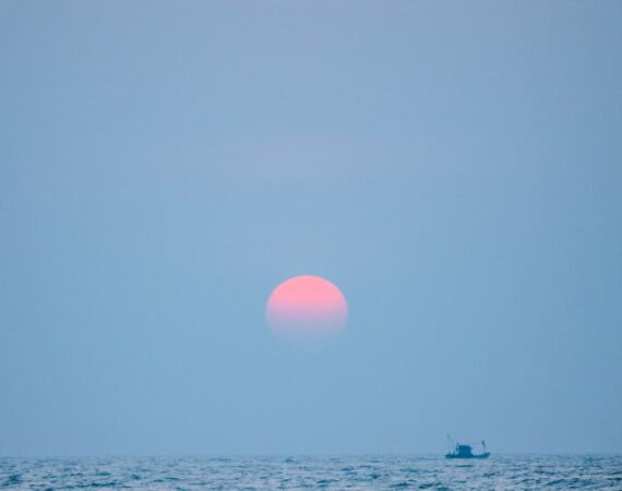 photo 1522118854996 03f88a977382