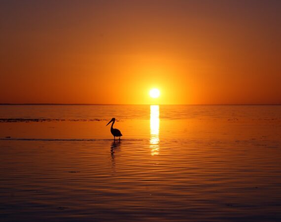 「太陽能研究:解析光電能源的奇妙世界」 1 photo 1534617619381 fb71fe6471fb