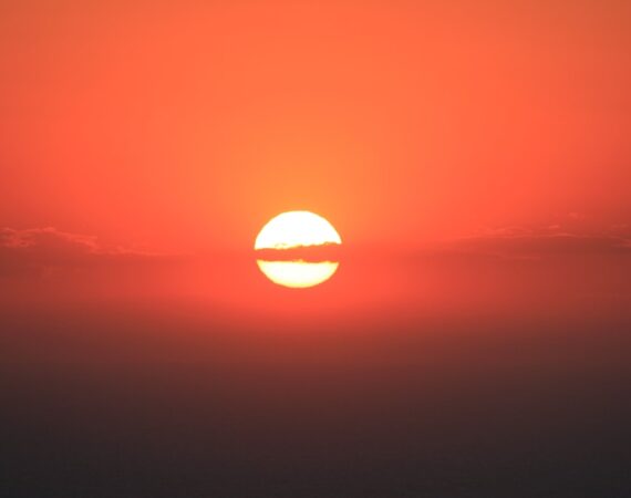 photo 1542452319 5c18c4e7eba1