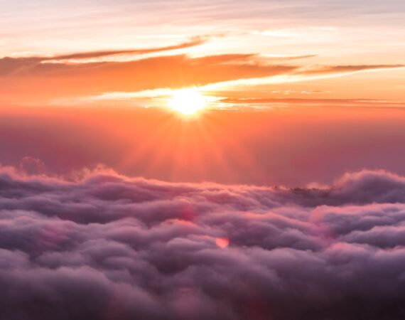 photo 1544644180 2574258e9fe8