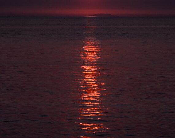 photo 1558056194 56f36ff6aa47