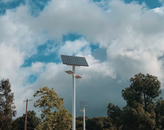 photo 1559799069 78a7e462515d