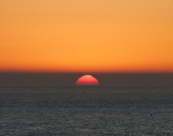 photo 1565385692766 ed25db2755bb