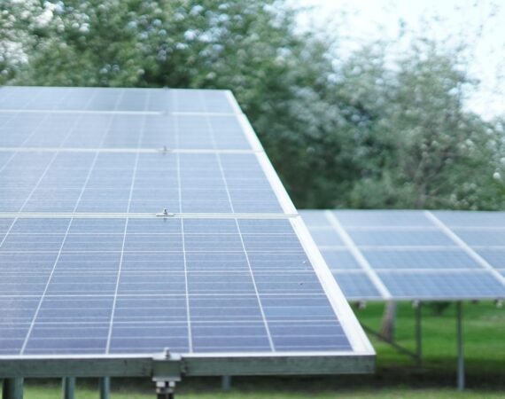 photo 1566093097221 ac2335b09e70