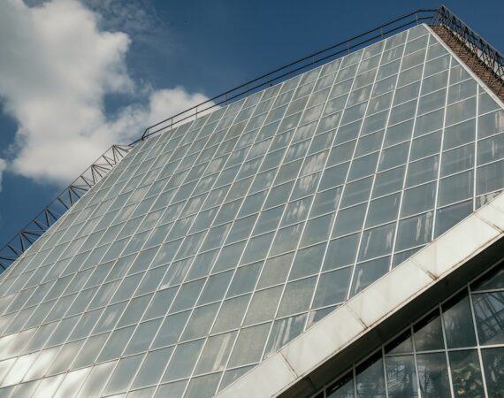 photo 1566396798021 19395f1adf00