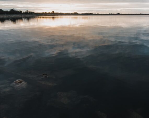 太陽能環保:創新可再生能源的未來 5 photo 1567187354247 e8dc96b697eb