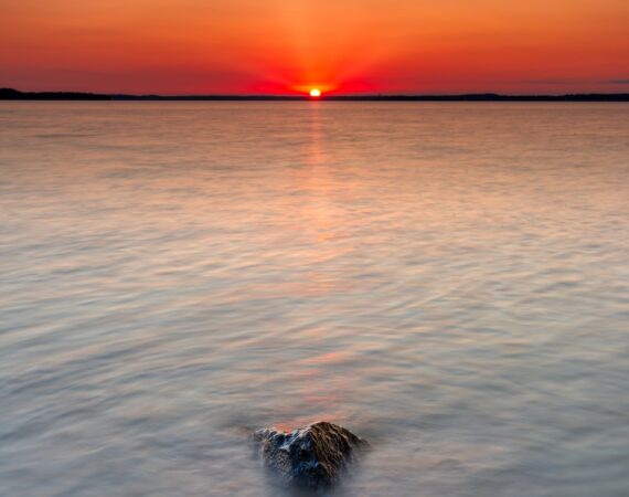 photo 1568206323132 53cd232b5480