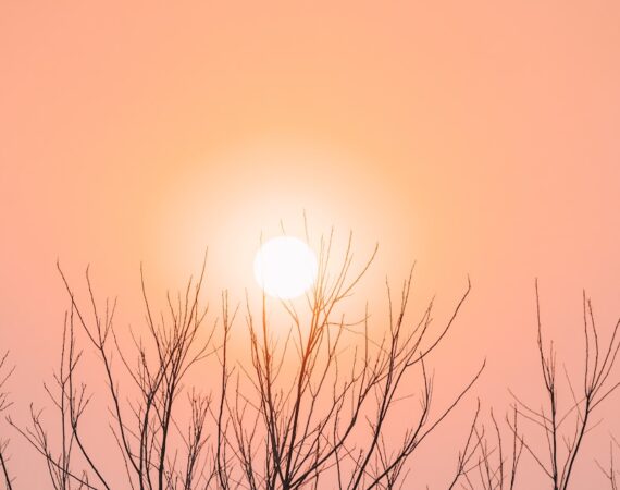 如何選擇適合的太陽能發電系統 6 photo 1569583837189 64e51eab2d2d