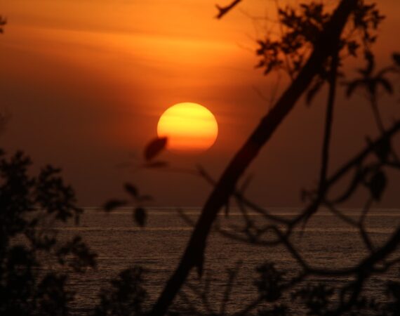 photo 1572094668970 5aa83c232c28