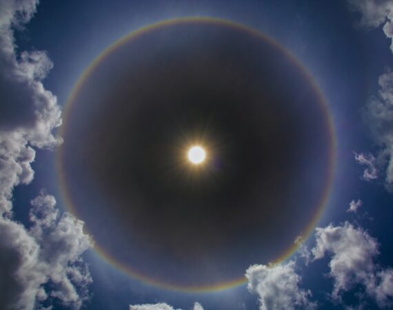 photo 1575624056016 b6ec5091e0f5