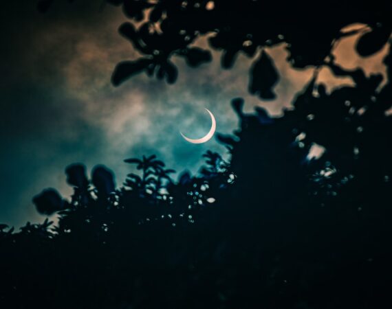 太陽能電網對環境保護的影響及可持續性 6 photo 1577354857698 b5ebfda031d0