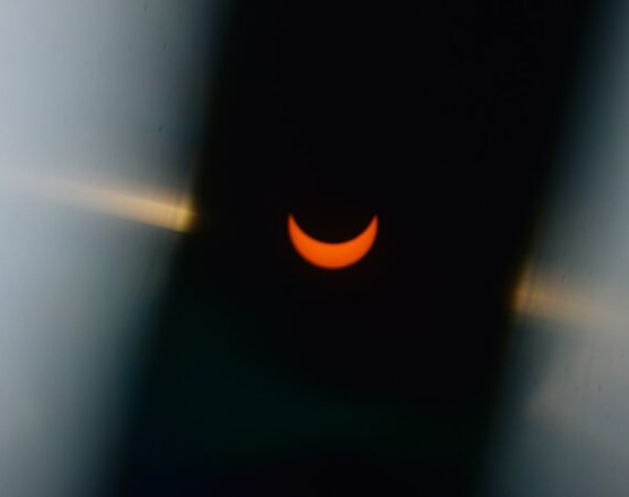 photo 1579978683768 d0f4e8a7c7fc