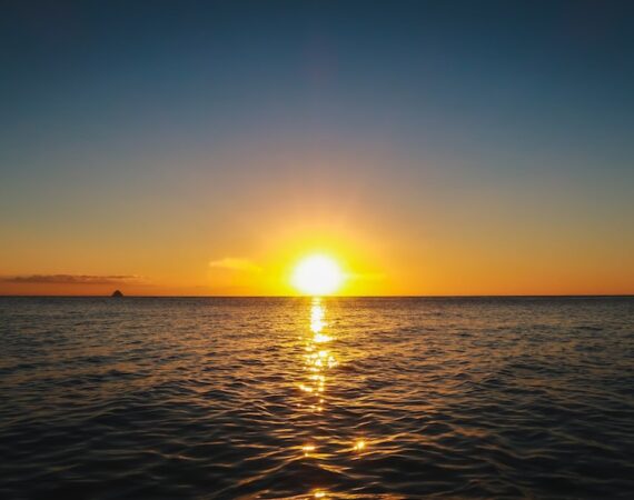 太陽能電網:未來能源的無限潛力 5 photo 1581500061599 fad7d02069bd