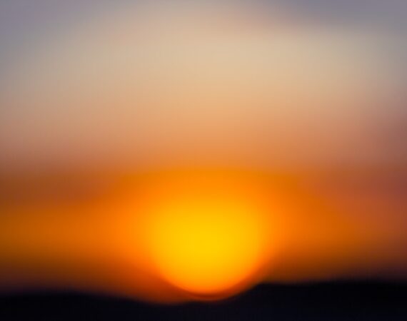 photo 1583798596443 8973ead2a8ff