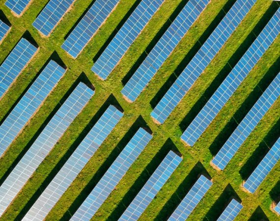 photo 1586366461834 d2d65d725a2e