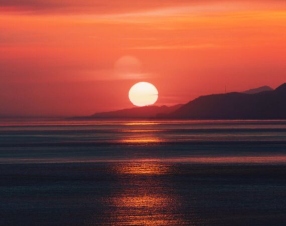 photo 1587937553399 c39a5db2313e