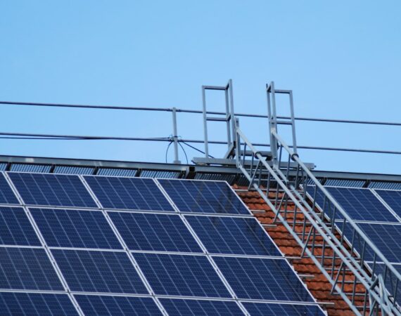 photo 1588575553315 6feef5326ec0