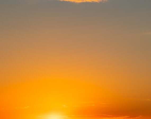 photo 1591618605468 d327085e53a6