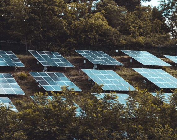 photo 1592833159117 ac790d4066e4