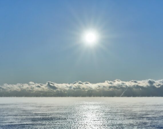 photo 1593944681869 117e5ad583c0