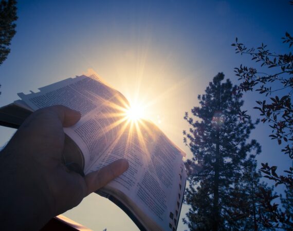 photo 1599964815811 30b9aea11d17