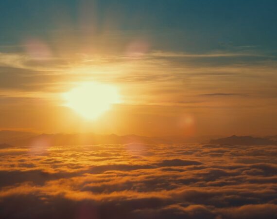 photo 1602446728455 81244bda0593