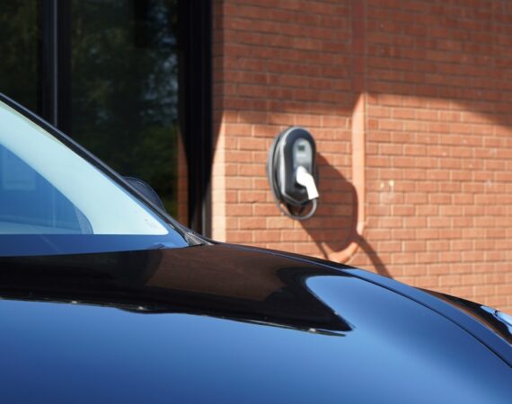 photo 1602518219078 365906ef621c