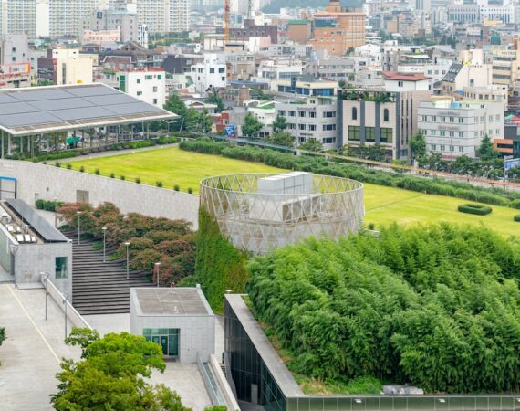 photo 1604560299352 77a3d4528bd7