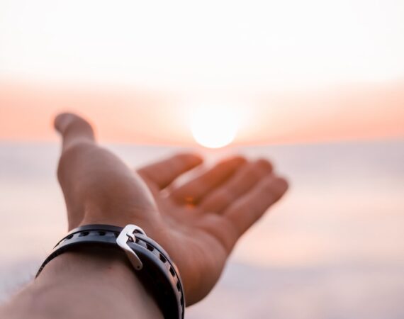 photo 1605036017337 918e2bac9c4b