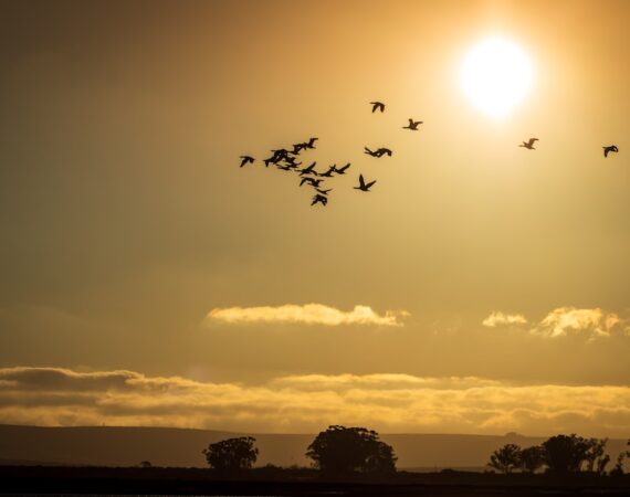 太陽能可行性研究報告:台灣能源轉型的關鍵之一 4 photo 1606030688362 f7bc8f92025a