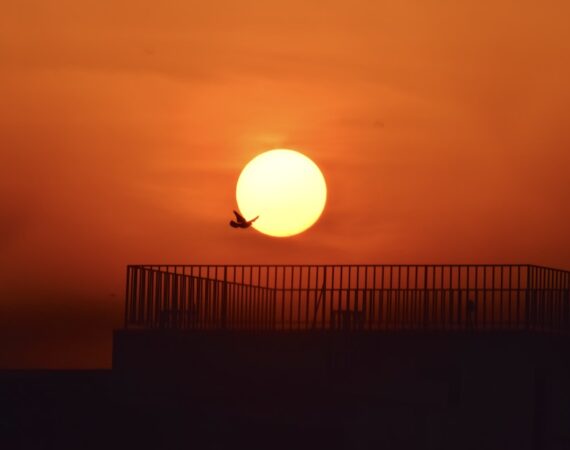 太陽能投資潛力的市場前景與經濟效益 1 photo 1608646960921 d24d2969776e