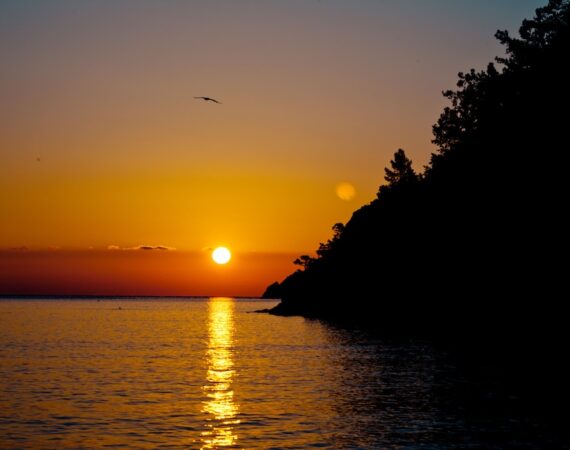 太陽能經濟效益:如何節省能源成本並保護環境 5 photo 1613335584642 49446ff69203