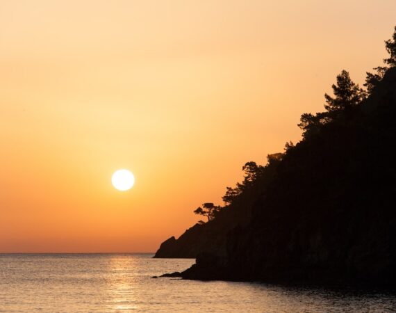 photo 1613335585084 a3ee797c517d