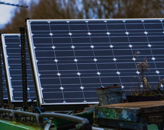 photo 1616745207210 a98414926a3a