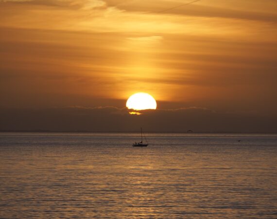 photo 1619520817334 ecc473decff7