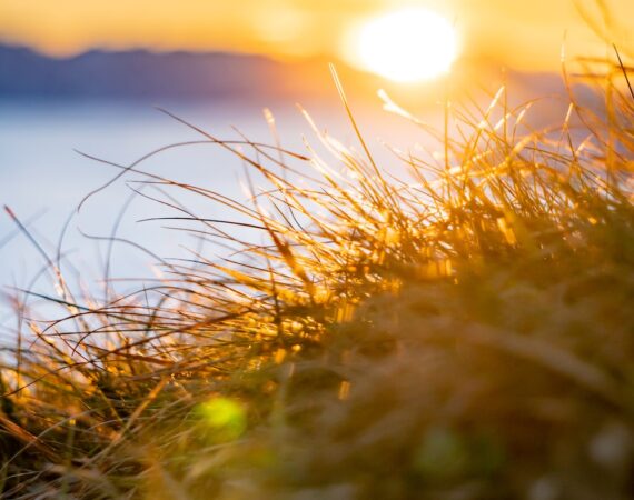 photo 1623139118053 20c40ceec3e4